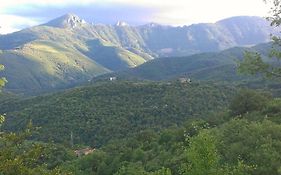 Cabane et potager sud Cévennes, jacuzzi en option